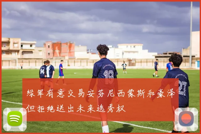 绿军有意交易安芬尼西蒙斯和豪泽但拒绝送出未来选秀权