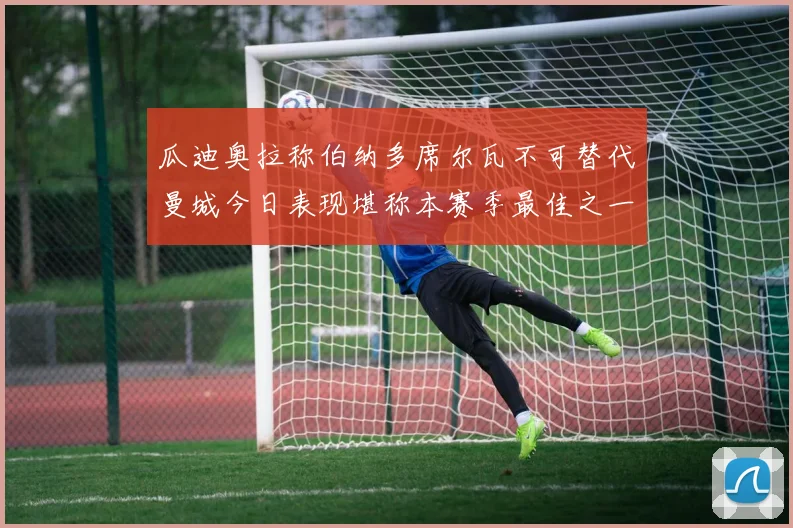 瓜迪奥拉称伯纳多席尔瓦不可替代曼城今日表现堪称本赛季最佳之一